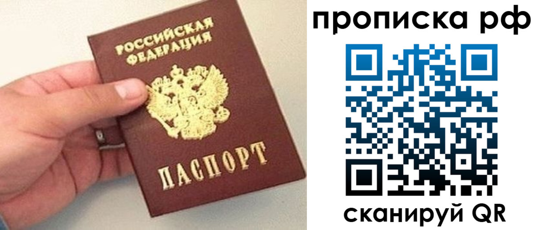 временная регистрация для всех в Мурино